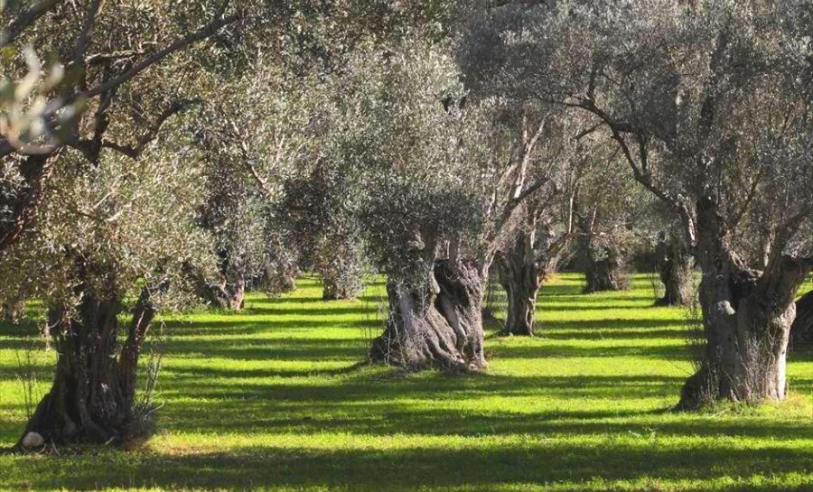 Filoxenia House Marousi -Private Parking- Apartment Athens Luaran gambar